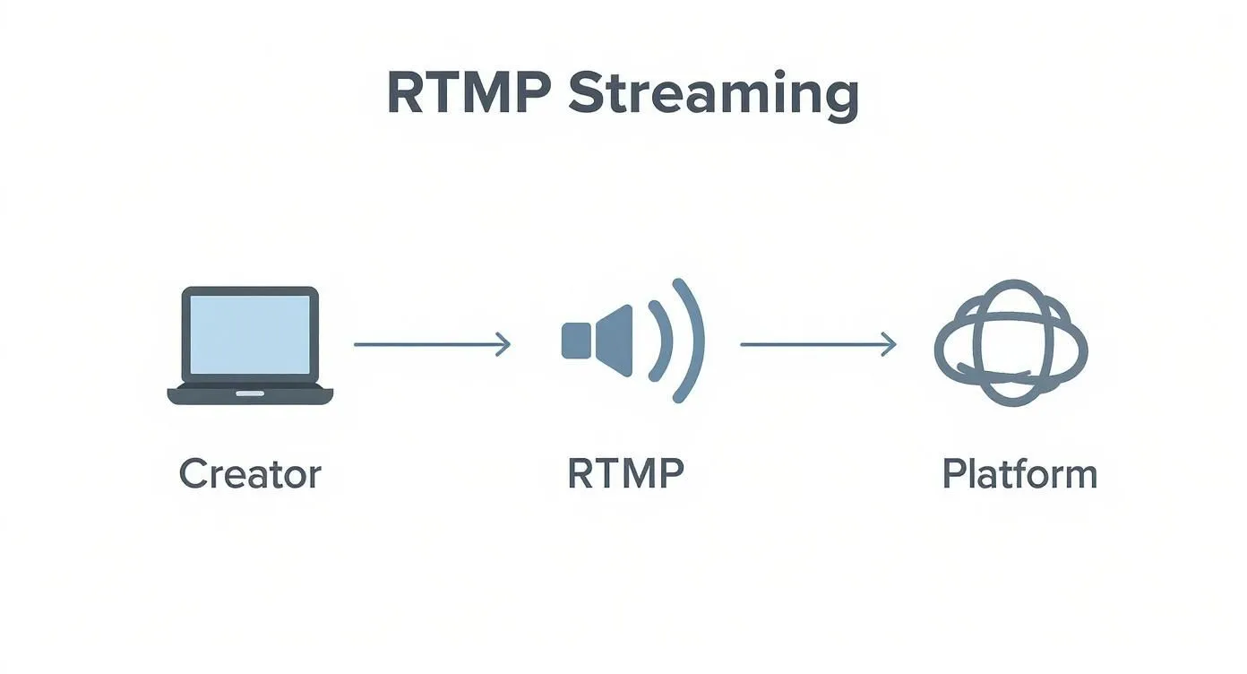 Infographic about what is rtmp